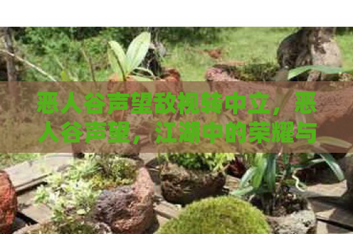 恶人谷声望敌视转中立，恶人谷声望，江湖中的荣耀与责任