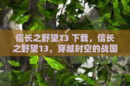 信长之野望13 下载，信长之野望13，穿越时空的战国之旅