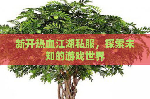 新开热血江湖私服，探索未知的游戏世界