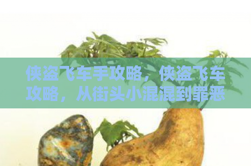 侠盗飞车手攻略，侠盗飞车攻略，从街头小混混到罪恶都市霸主