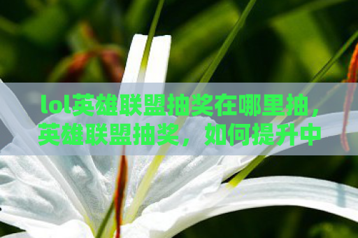 lol英雄联盟抽奖在哪里抽，英雄联盟抽奖，如何提升中奖率？