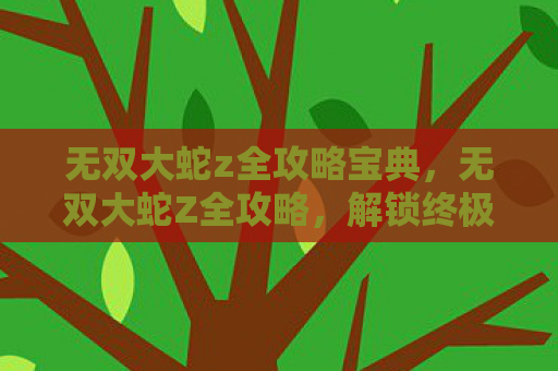 无双大蛇z全攻略宝典，无双大蛇Z全攻略，解锁终极战斗体验