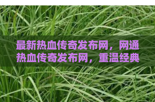 最新热血传奇发布网，网通热血传奇发布网，重温经典，再燃激情