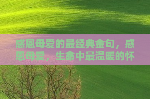 感恩母爱的最经典金句，感恩母爱，生命中最温暖的怀抱