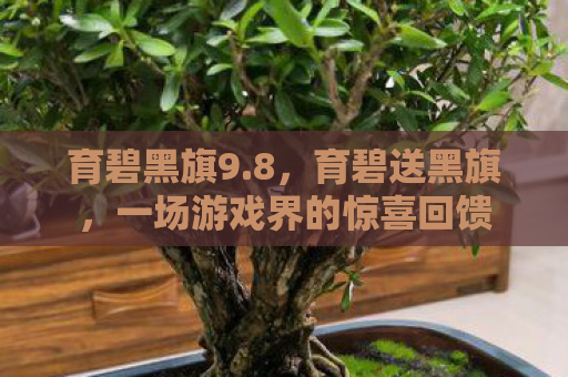 育碧黑旗9.8，育碧送黑旗，一场游戏界的惊喜回馈
