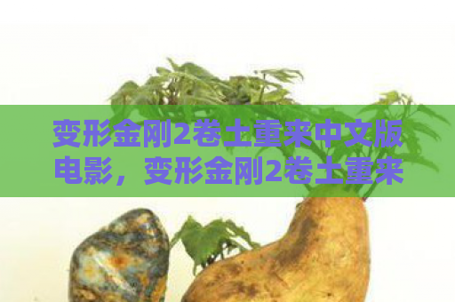 变形金刚2卷土重来中文版电影，变形金刚2卷土重来中文版，超越前作的震撼与感动