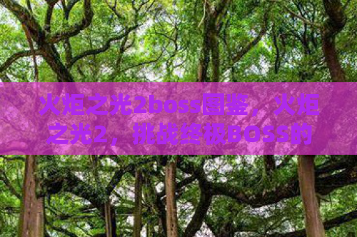 火炬之光2boss图鉴，火炬之光2，挑战终极BOSS的冒险之旅