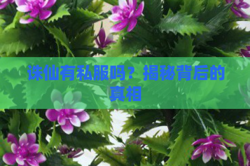 诛仙有私服吗？揭秘背后的真相