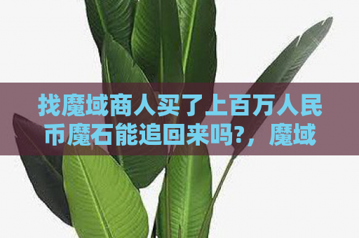 找魔域商人买了上百万人民币魔石能追回来吗?，魔域SF，探索未知世界的奇幻之旅