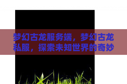 梦幻古龙服务端，梦幻古龙私服，探索未知世界的奇妙之旅