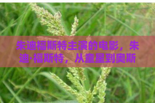 朱迪福斯特主演的电影，朱迪·福斯特，从童星到奥斯卡影后的传奇之路