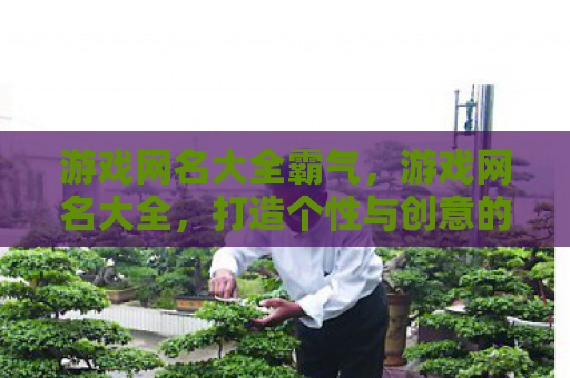 游戏网名大全霸气，游戏网名大全，打造个性与创意的昵称