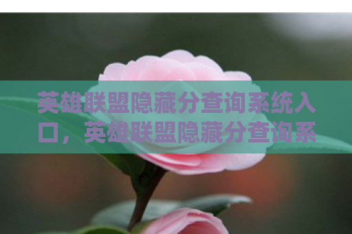 英雄联盟隐藏分查询系统入口，英雄联盟隐藏分查询系统，揭秘你的真实实力