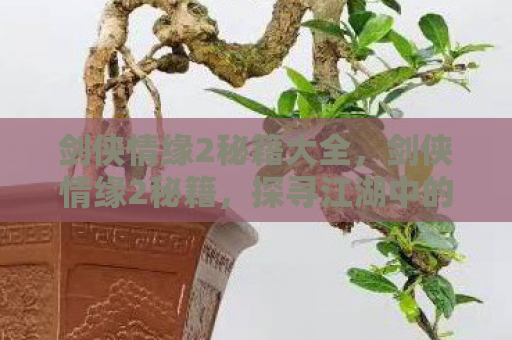 剑侠情缘2秘籍大全，剑侠情缘2秘籍，探寻江湖中的绝世武功