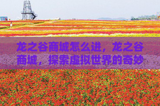 龙之谷商城怎么进，龙之谷商城，探索虚拟世界的奇妙之旅