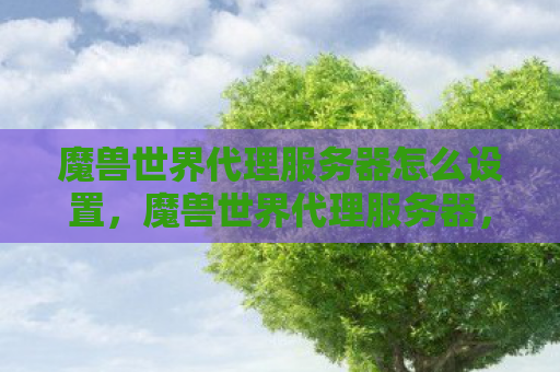 魔兽世界代理服务器怎么设置，魔兽世界代理服务器，历史、现状和未来