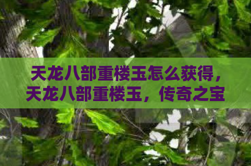 天龙八部重楼玉怎么获得，天龙八部重楼玉，传奇之宝的神秘传说