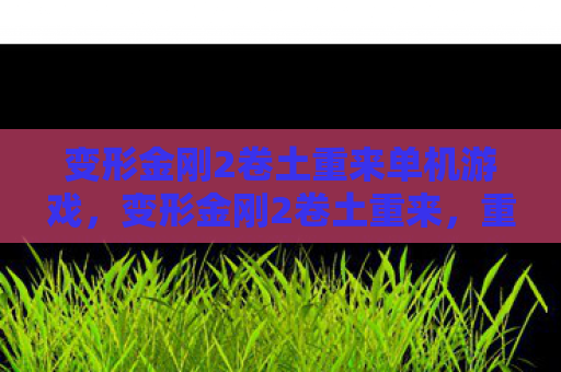 变形金刚2卷土重来单机游戏，变形金刚2卷土重来，重温经典，重温回忆