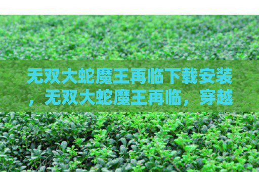 无双大蛇魔王再临下载安装，无双大蛇魔王再临，穿越时空的终极挑战