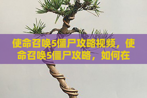 使命召唤5僵尸攻略视频，使命召唤5僵尸攻略，如何在僵尸模式下生存并解锁所有秘密