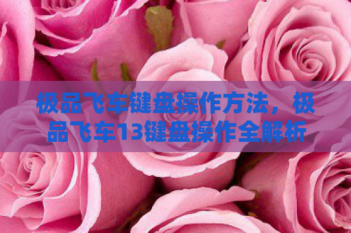 极品飞车键盘操作方法，极品飞车13键盘操作全解析