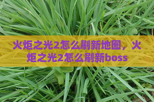 火炬之光2怎么刷新地图，火炬之光2怎么刷新boss