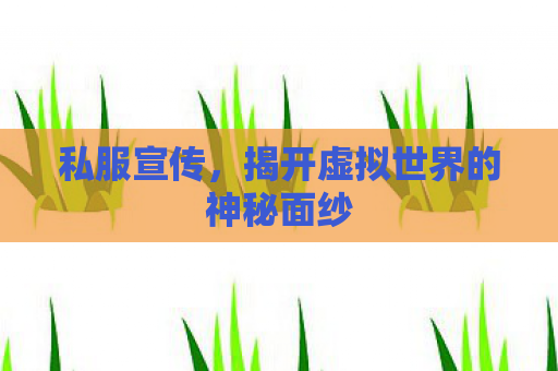 私服宣传，揭开虚拟世界的神秘面纱