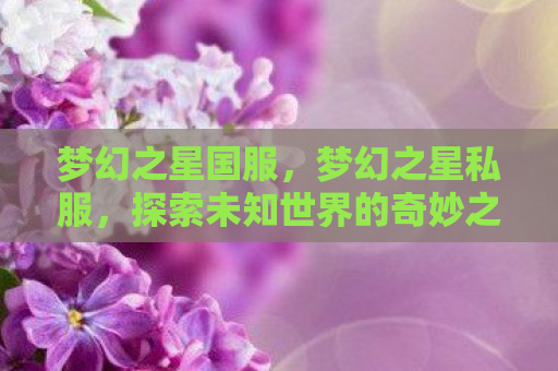 梦幻之星国服，梦幻之星私服，探索未知世界的奇妙之旅