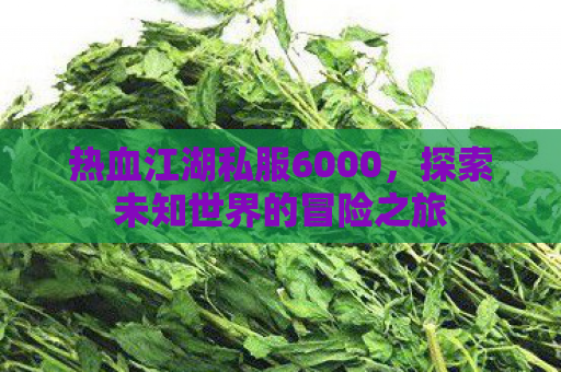 热血江湖私服6000，探索未知世界的冒险之旅