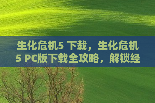 生化危机5 下载，生化危机5 PC版下载全攻略，解锁经典恐怖之旅