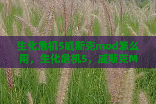 生化危机5威斯克mod怎么用，生化危机5，威斯克MOD——重塑经典，超越原版