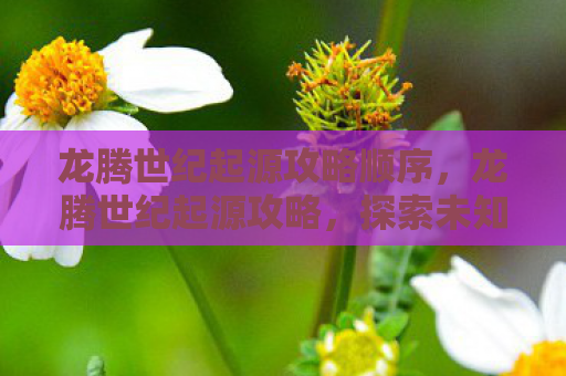 龙腾世纪起源攻略顺序，龙腾世纪起源攻略，探索未知，征服世界