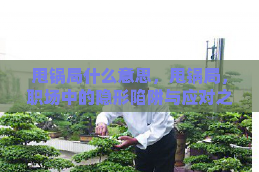 甩锅局什么意思，甩锅局，职场中的隐形陷阱与应对之策