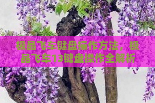 极品飞车键盘操作方法，极品飞车13键盘操作全解析