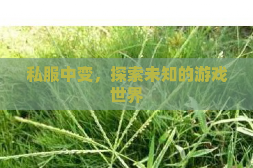 私服中变，探索未知的游戏世界