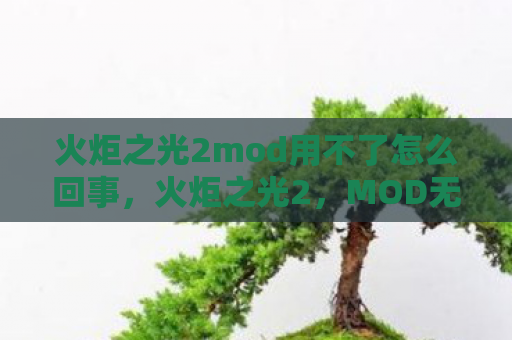 火炬之光2mod用不了怎么回事，火炬之光2，MOD无法使用？问题排查与解决方案
