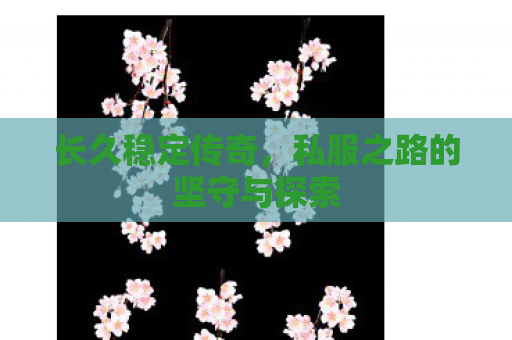 长久稳定传奇，私服之路的坚守与探索