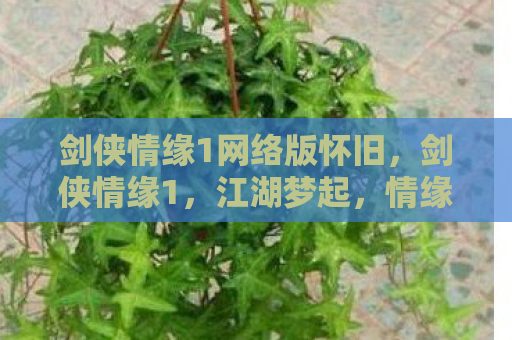 剑侠情缘1网络版怀旧，剑侠情缘1，江湖梦起，情缘未了