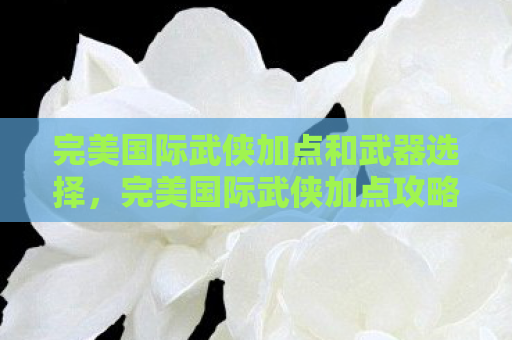 完美国际武侠加点和武器选择，完美国际武侠加点攻略，打造最强武侠角色