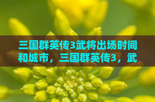 三国群英传3武将出场时间和城市，三国群英传3，武将风云再起