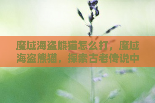 魔域海盗熊猫怎么打，魔域海盗熊猫，探索古老传说中的神秘生物