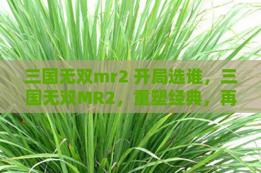 三国无双mr2 开局选谁，三国无双MR2，重塑经典，再燃战火