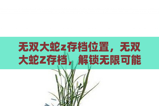 无双大蛇z存档位置，无双大蛇Z存档，解锁无限可能的战斗之旅