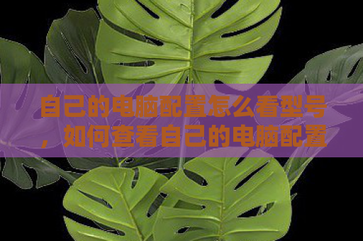 自己的电脑配置怎么看型号，如何查看自己的电脑配置