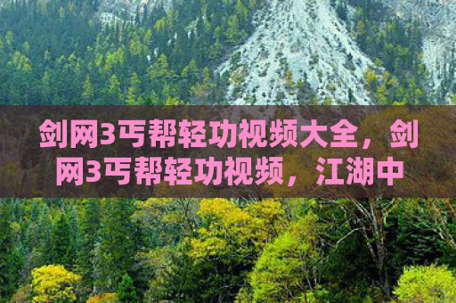 剑网3丐帮轻功视频大全，剑网3丐帮轻功视频，江湖中的乞丐也有春天