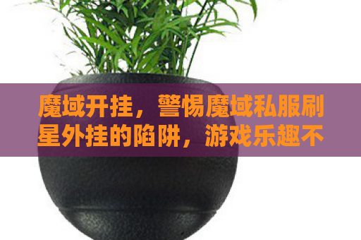 魔域开挂，警惕魔域私服刷星外挂的陷阱，游戏乐趣不应成为违法犯罪的温床