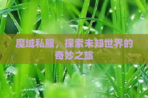 魔域私服，探索未知世界的奇妙之旅
